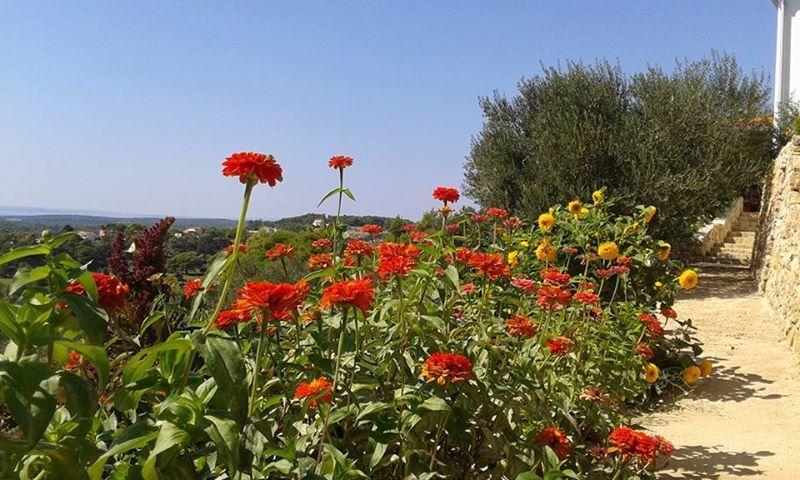 Villa Mora Banjol Rom bilde