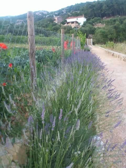 Villa Mora Banjol Rom bilde